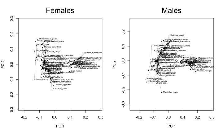 plot of chunk post_2017-08_phylomorphospace