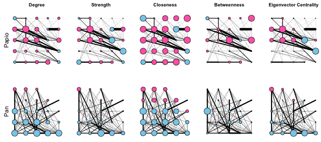 plot of chunk post_2017-04_primate-sna_centrality