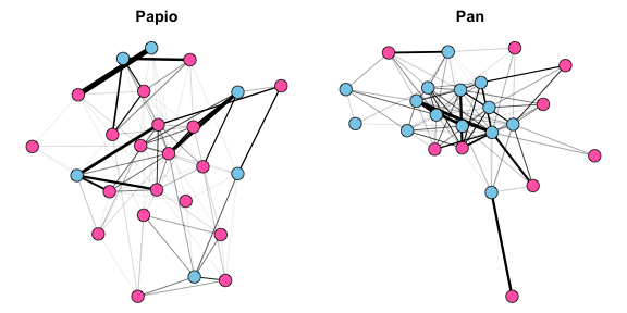 plot of chunk post_2017-04_primate-sna_papio-pan