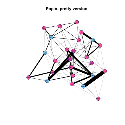 plot of chunk post_2017-04_primate-sna_papio-pretty