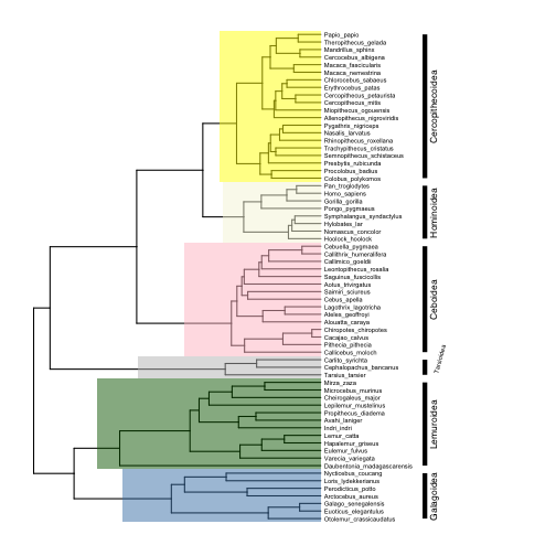 plot of chunk post_2017-05_ggtree_clades2