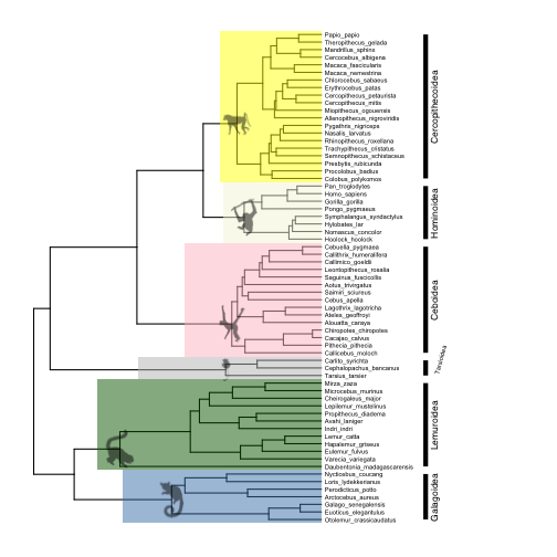 plot of chunk post_2017-05_ggtree_clades3