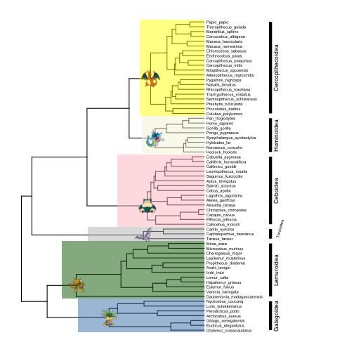 plot of chunk post_2017-05_ggtree_clades4